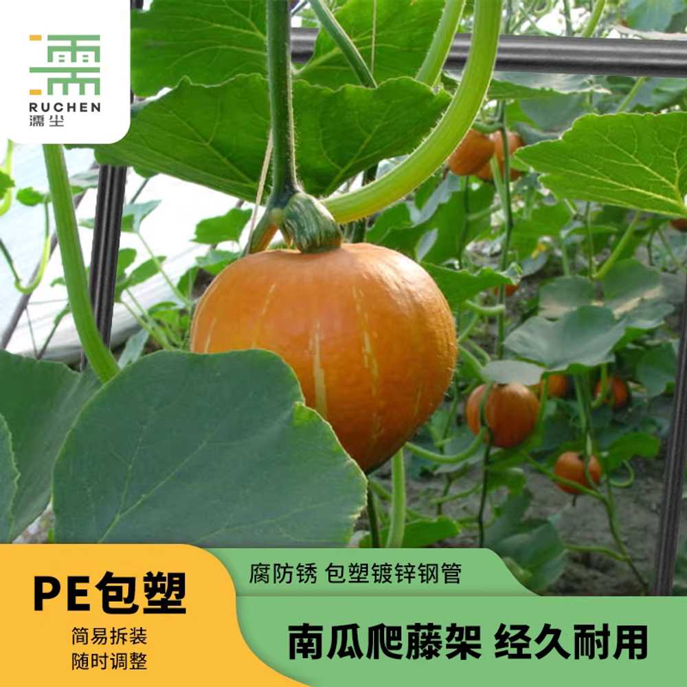 포도지지대 넝쿨식물 정원 막대 프레임 터널형 과수 1.15x1.83x2.3m - 상세 이미지 4