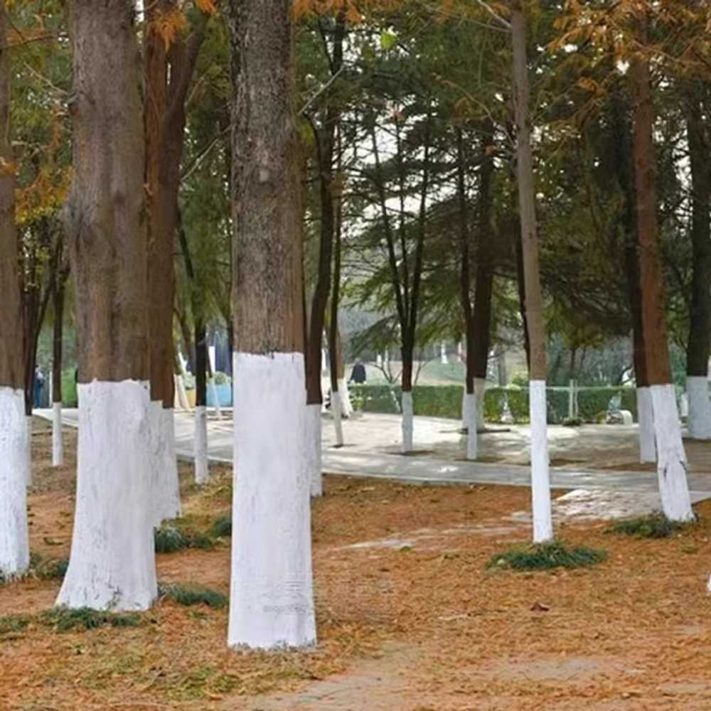 압축분무기 고압 폼건 충전식 대용량 세차 스프레이 백색제 전동 분무기 손쉬운 분사 - 상세 이미지 4