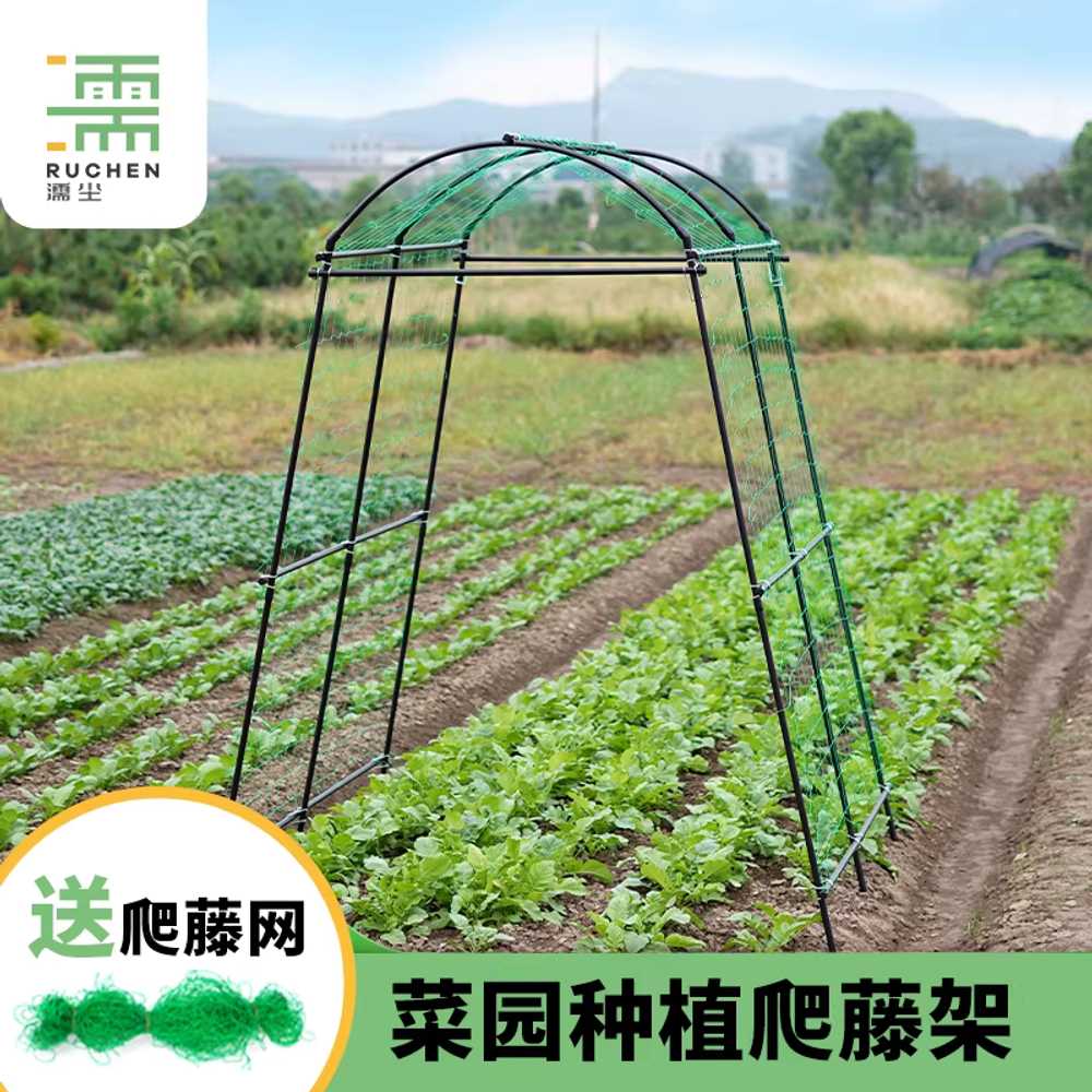 포도지지대 넝쿨식물 정원 막대 프레임 터널형 과수 1.15x1.83x2.3m - 상세 이미지 3