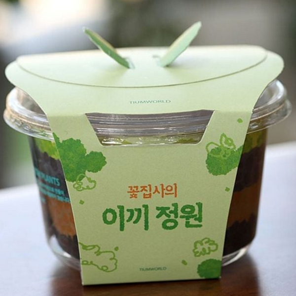 양지 이끼 테라리움 diy 미니 테라리움 식물 재료 - 상품 이미지