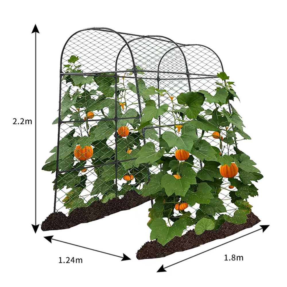 포도지지대 넝쿨식물 정원 막대 프레임 터널형 과수 1.15x1.83x2.3m - 상세 이미지 2