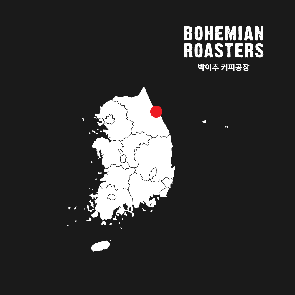 강릉 박이추 커피 드립플 시그니처 드립백 사천 블랜드 10개입, 3개 이미지 8