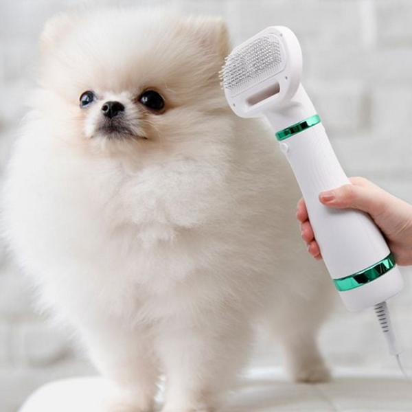 고양이 반려동물 드라이어 애견 강아지 드라이기 펫털 건조 - 상품 이미지