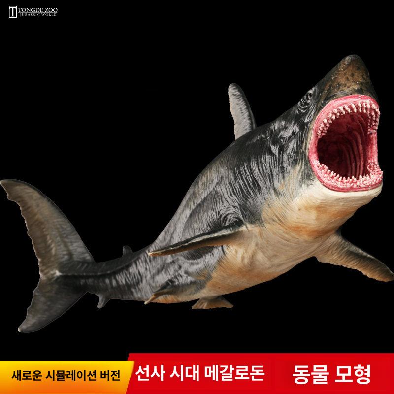 해양 생물 교육 광어 고대 상어 메갈로돈 삼엽층 물고기 프로시안 거대 이빨 상어 - 상세 이미지 3