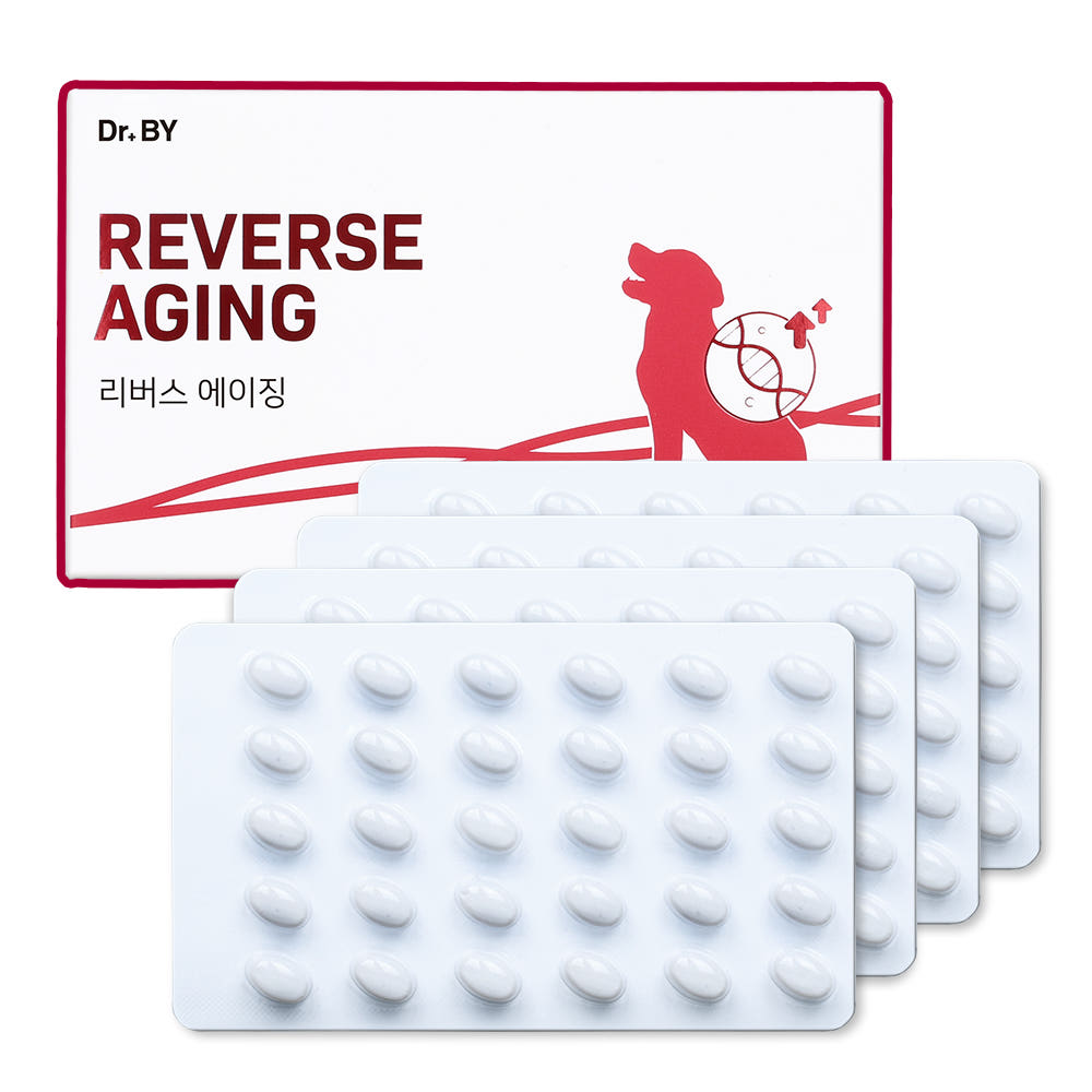 닥터바이 리버스에이징