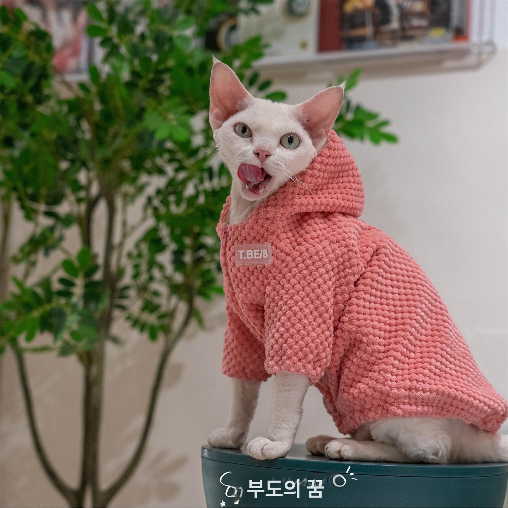 스핑크스 고양이 옷 데본 렉스 코니시 티셔츠 면 의류 - 상세 이미지 4