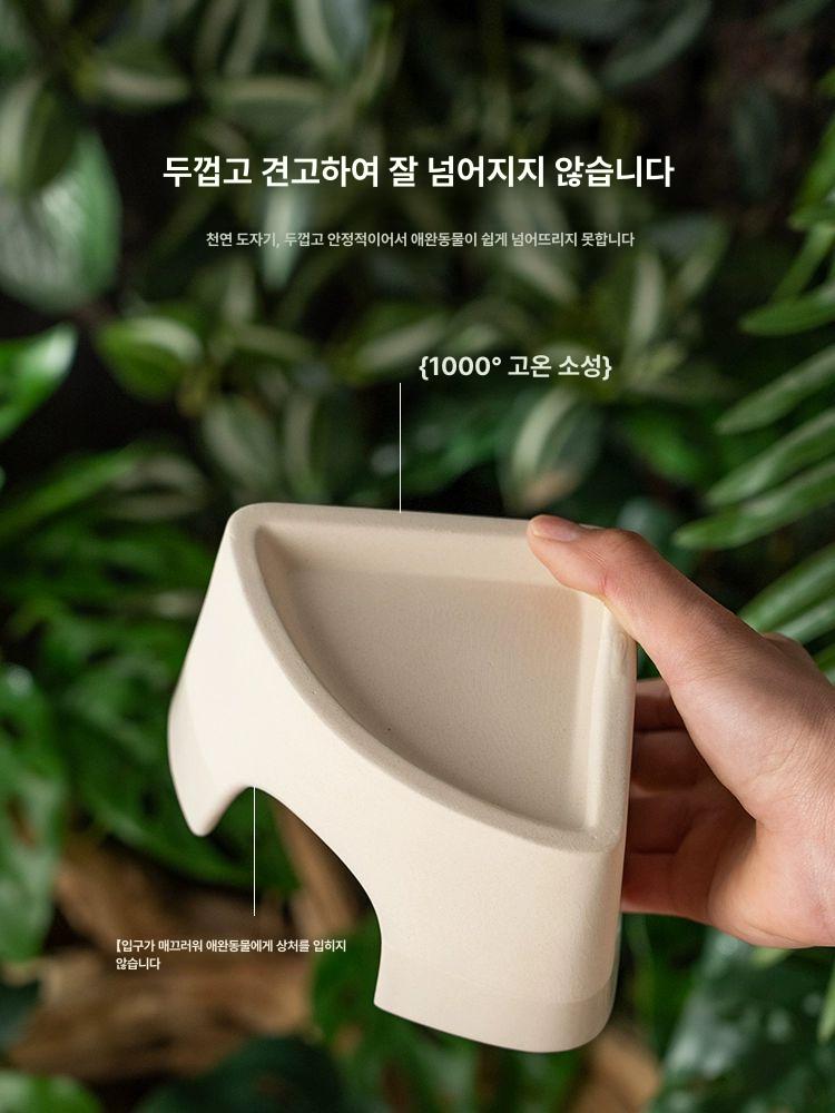 도마뱀 습식 은신처 파충류 사육장 소형 도피처 집꾸미기 - 상세 이미지 4