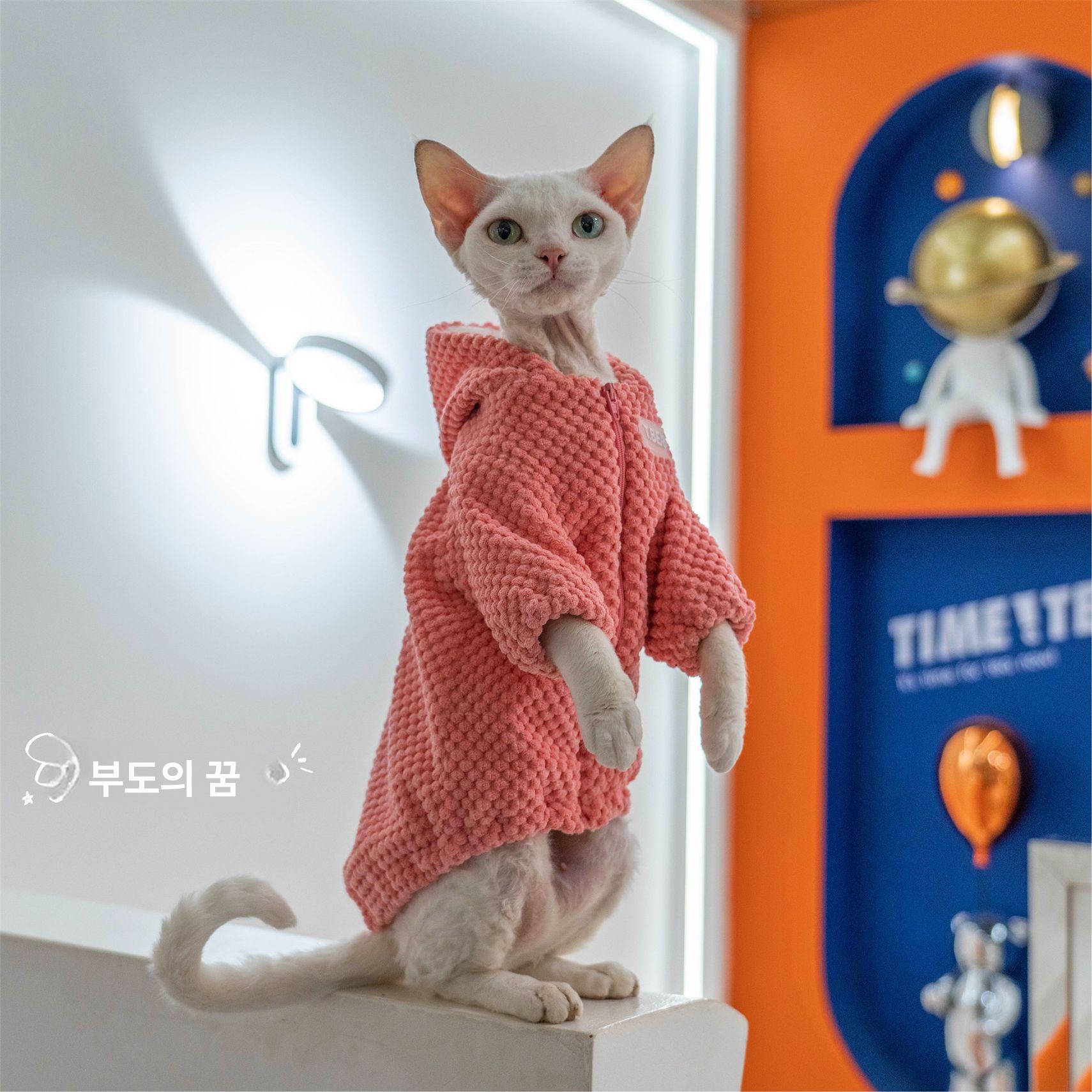 스핑크스 고양이 옷 데본 렉스 코니시 티셔츠 면 의류 - 상세 이미지 2