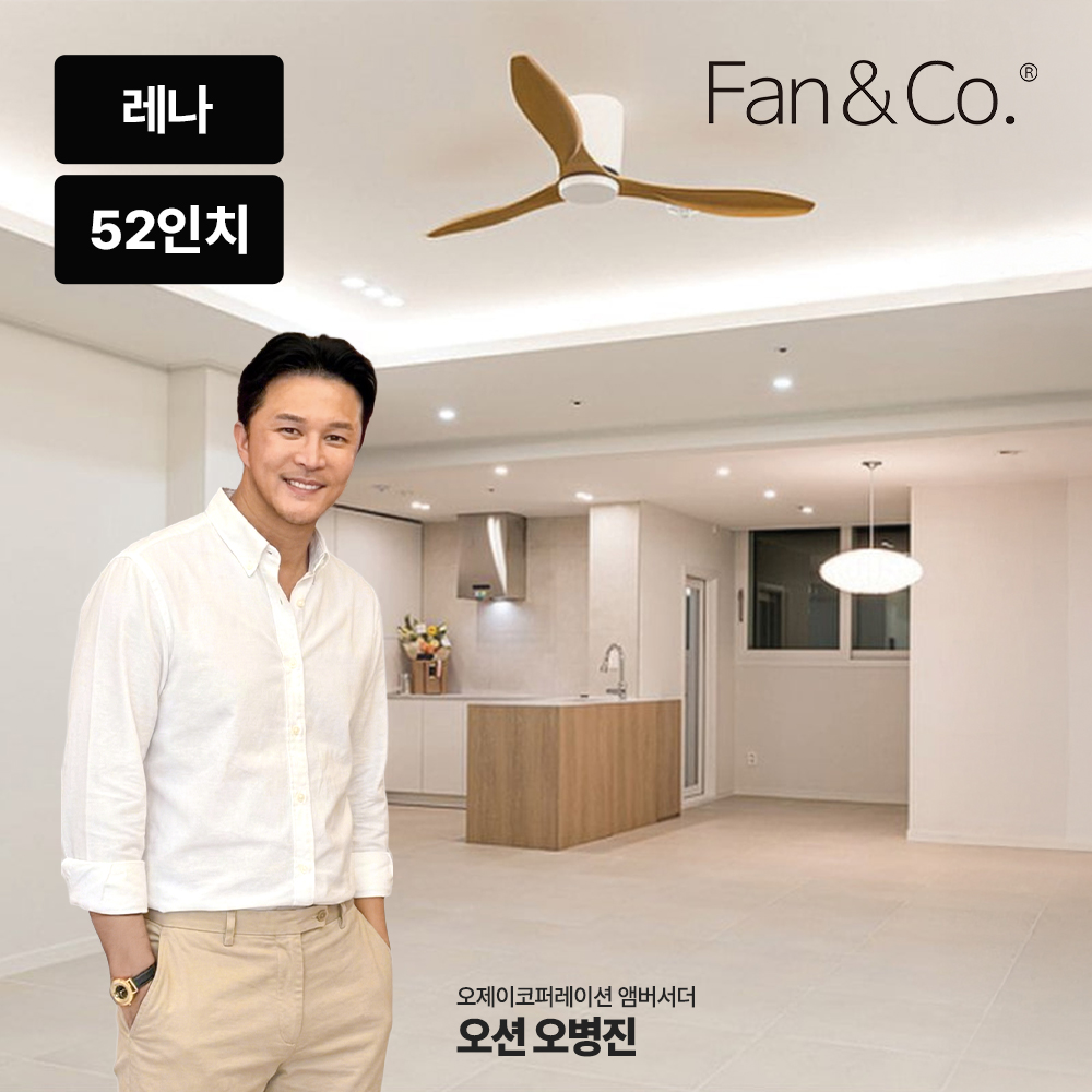 팬앤코 팬엔코 레나 52 한국형 실링팬 17cm bldc 낮은천장 아파트 씰링펜