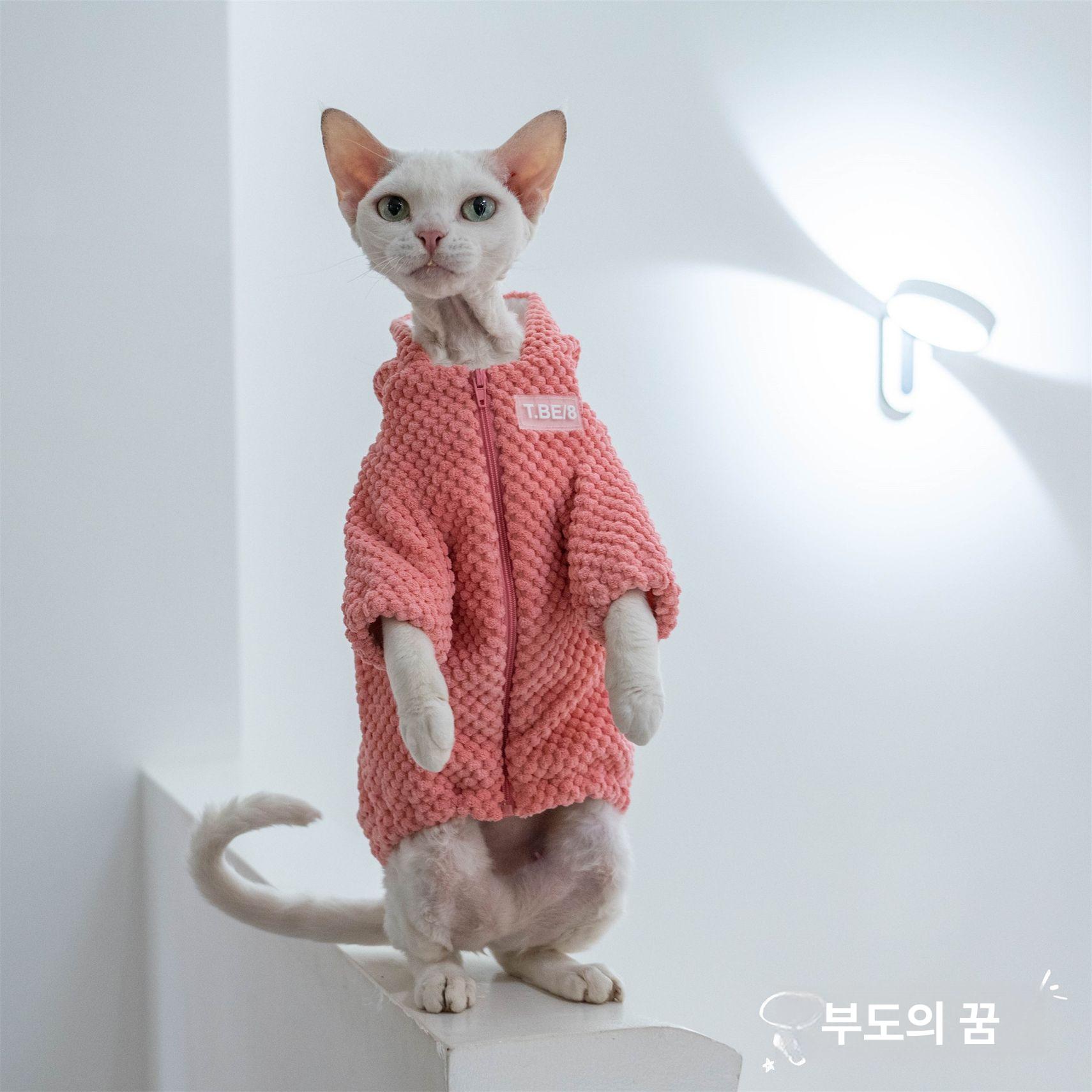 스핑크스 고양이 옷 데본 렉스 코니시 티셔츠 면 의류 - 상세 이미지 3