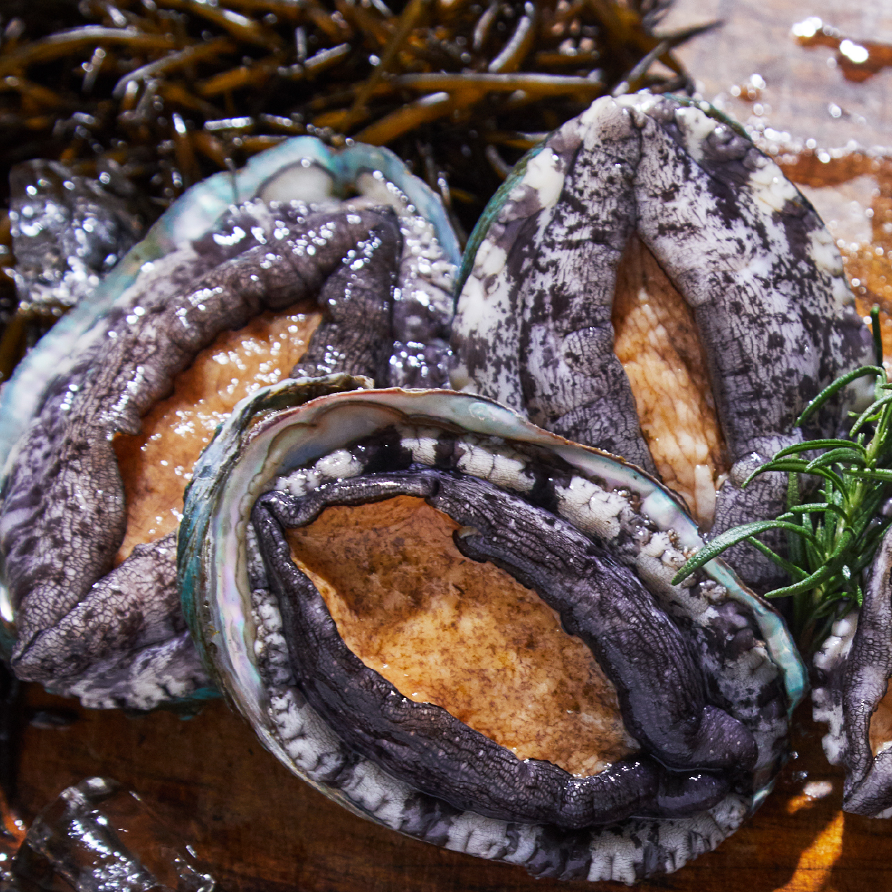 전복누리 완도산 활전복 10-11미 1kg - 상세 이미지 3