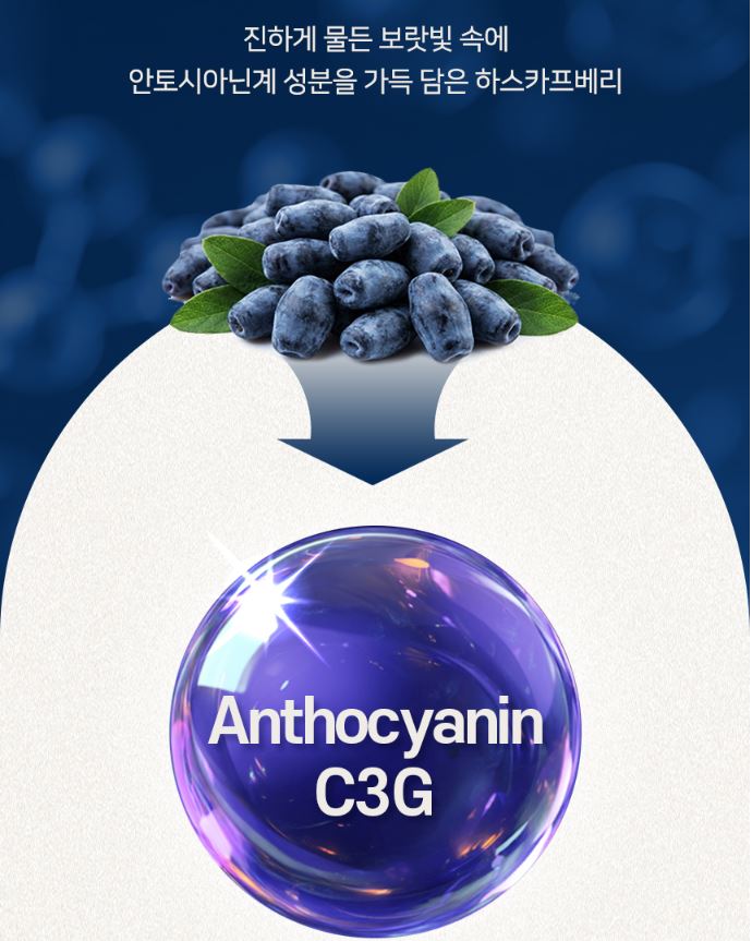 하스카프베리 동결건조 분말 폴란드산 하니베리 안토시아닌 C3G 50g, 3개 이미지 8