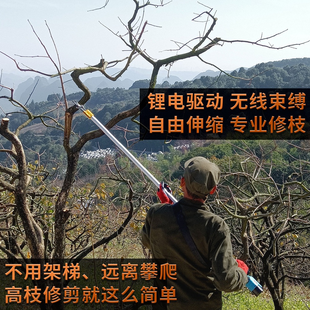 자동 전지 가위 재단 무선 과수원 휴대용 전정 충전 나무 배터리 가지치기 1구 가위+배터리 2개+충전기 - 상세 이미지 4