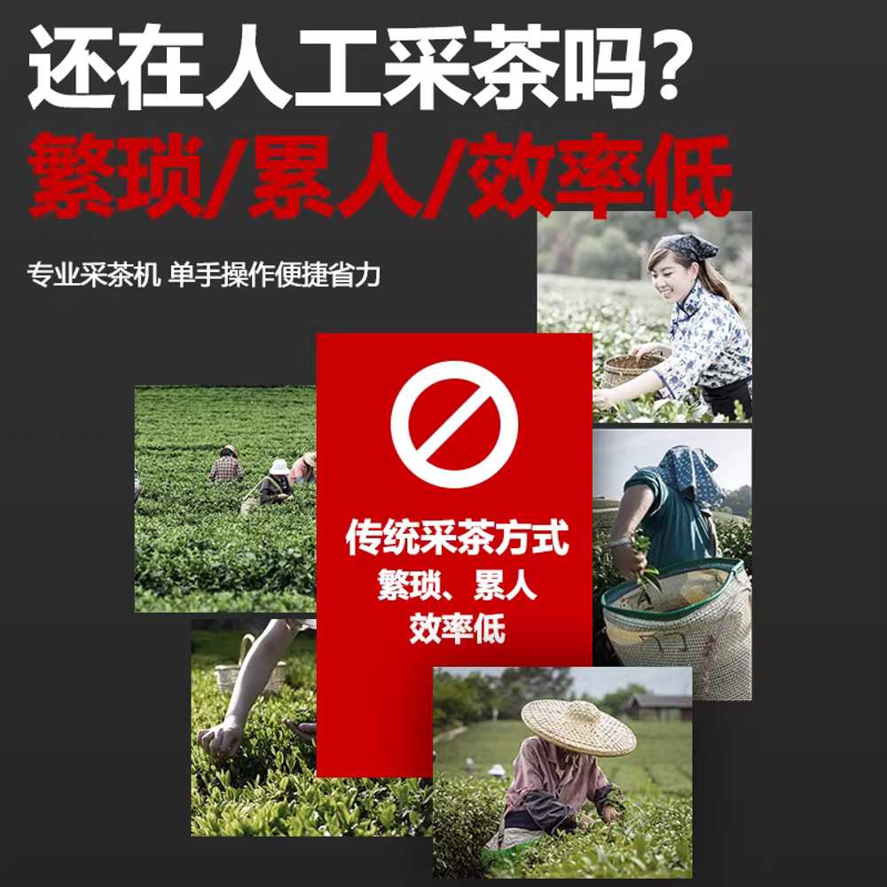 찻잎 트리머 재배기 채엽기 조경 휴대용 새싹 전기톱 6단계 속도 조절 대형 날 배터리 1개+충전기 - 상세 이미지 5