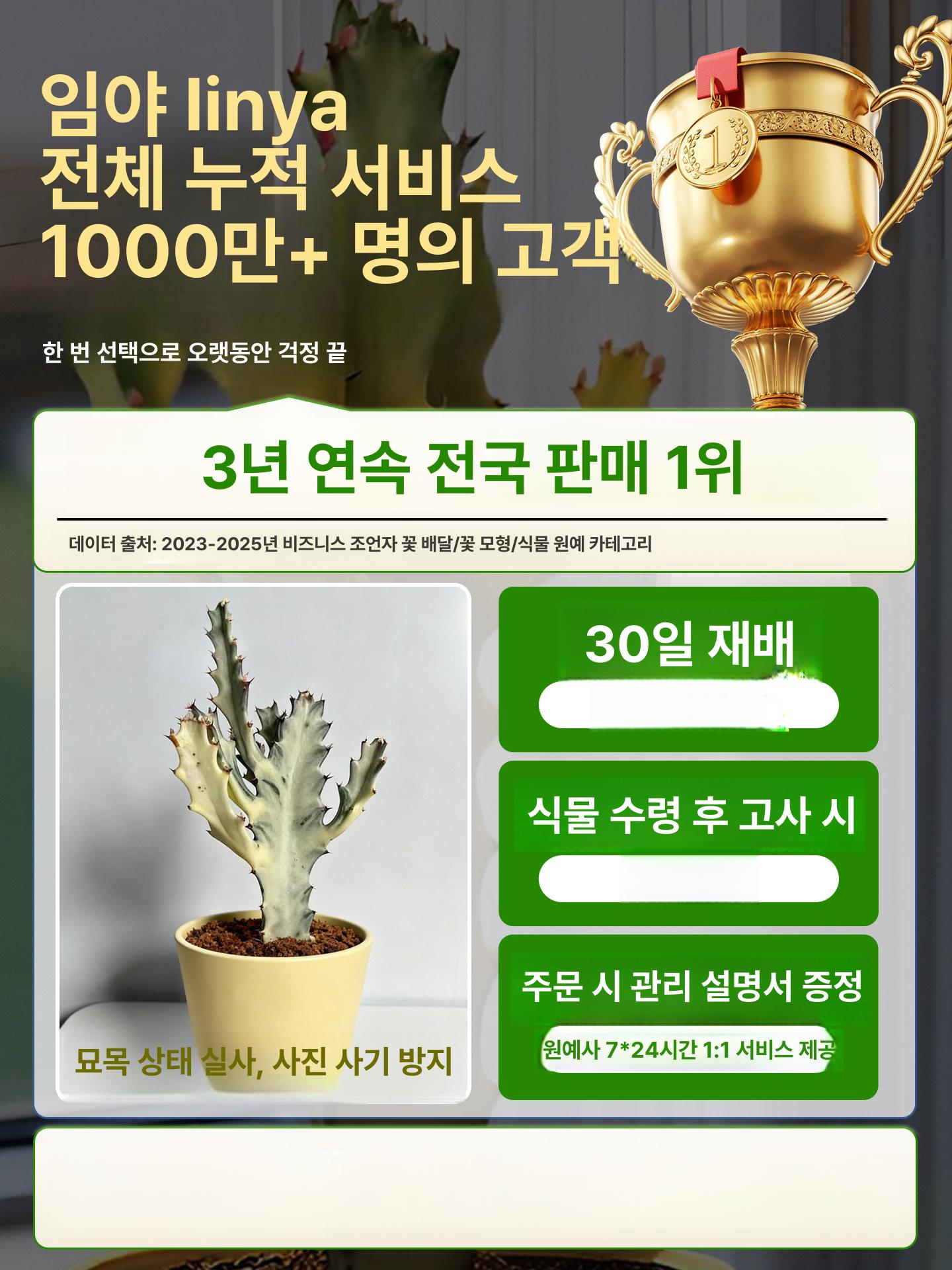 가짜 창문 소품 음식점 장식 벽걸이 월행잉 카페 촬영 화이트드래곤본 플라워+트와일라잇 화분 - 상세 이미지 5