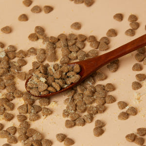 펫토리아 한끼뚝딱 클래식 강아지 건식 사료 전연령 황태+소고기, 2.4k... 솔직 후기 | 실제 사용자 리뷰 총정리 - 상품 이미지 4