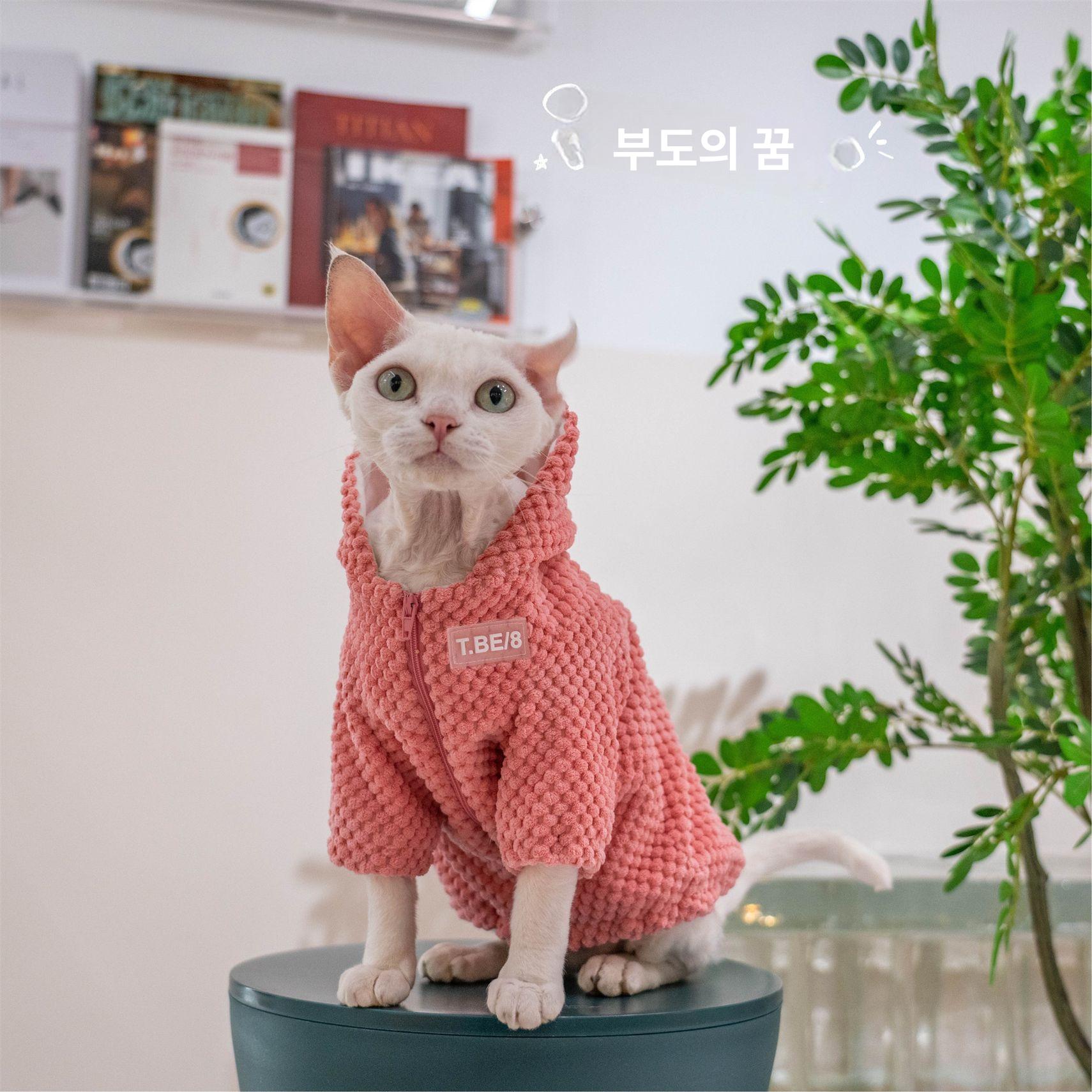 스핑크스 고양이 옷 데본 렉스 코니시 티셔츠 면 의류 - 상세 이미지 5