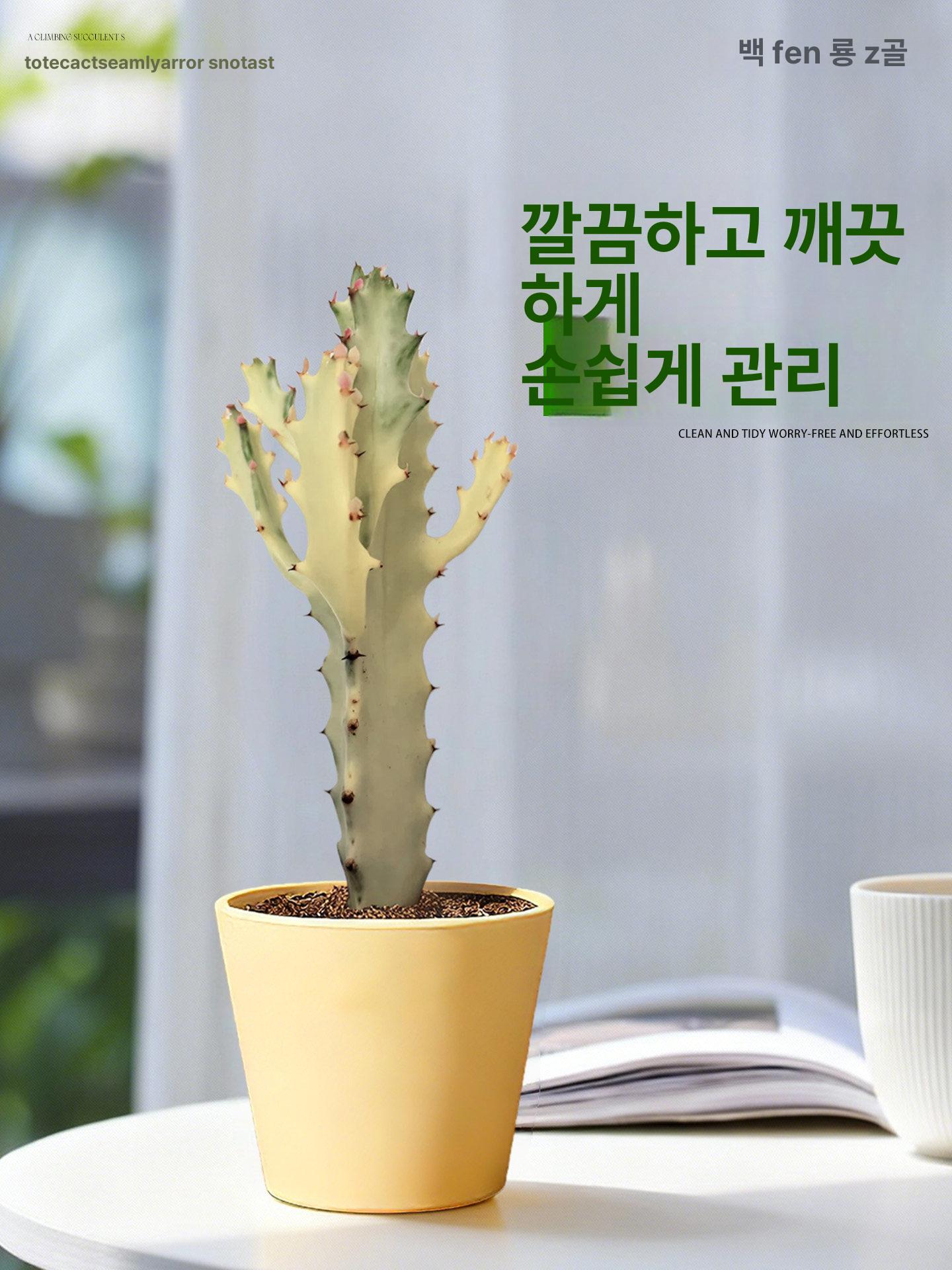 가짜 창문 소품 음식점 장식 벽걸이 월행잉 카페 촬영 화이트드래곤본 플라워+트와일라잇 화분 - 상세 이미지 3