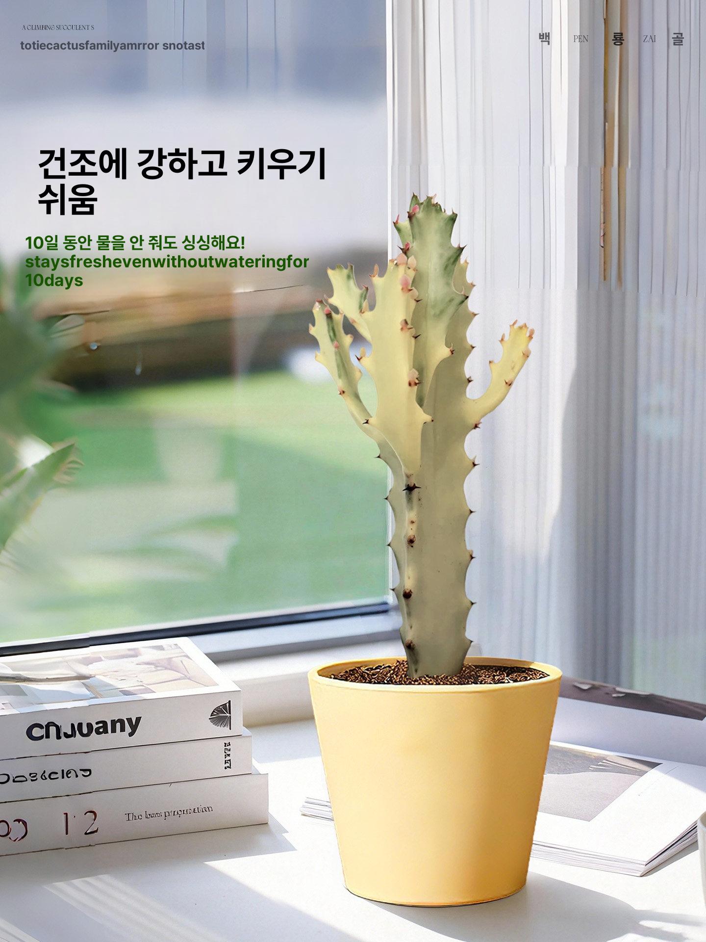 가짜 창문 소품 음식점 장식 벽걸이 월행잉 카페 촬영 화이트드래곤본 플라워+트와일라잇 화분 - 상세 이미지 2