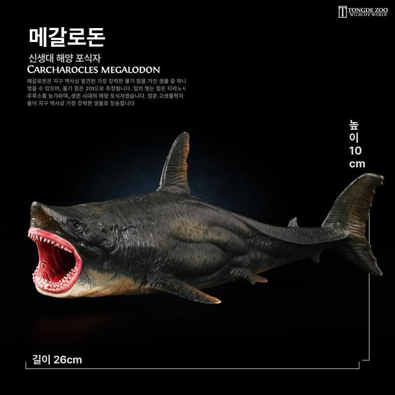 해양 생물 교육 광어 고대 상어 메갈로돈 삼엽층 물고기 프로시안 거대 이빨 상어 - 상세 이미지 4