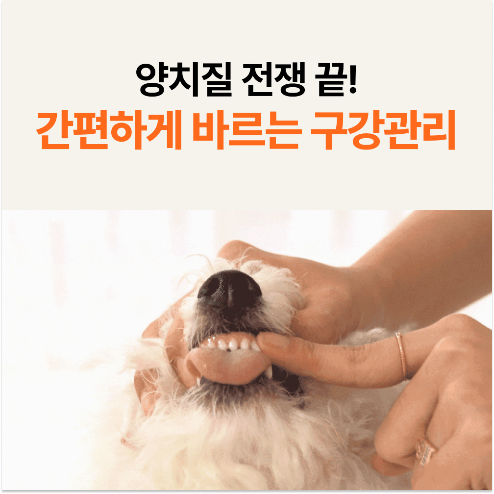 플라고 치약 강아지 고양이 입냄새 구취 치석 제거 바르는 치약 80g, 2개 이미지 2
