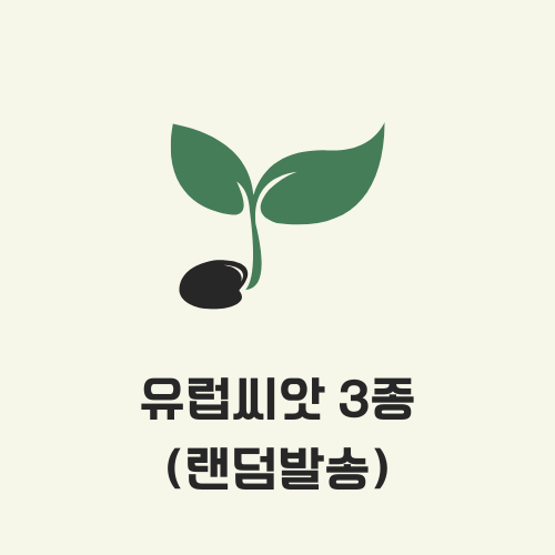 플랜티 유럽상추3종 랜덤발송 30립x3종 소분씨앗 초보자도 쉬운 고기쌈 키우기쉬운 유럽채소 - 상세 이미지 3