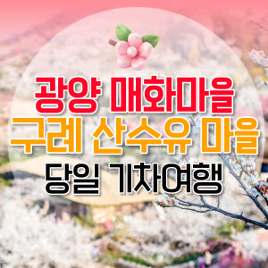 KTX 광양 매화마을 구례 산수유 당일 기차여행 (봄꽃 청매실농원 뚜벅이... 솔직 후기 | 실사용자 리뷰 분석 - 상품 이미지 1