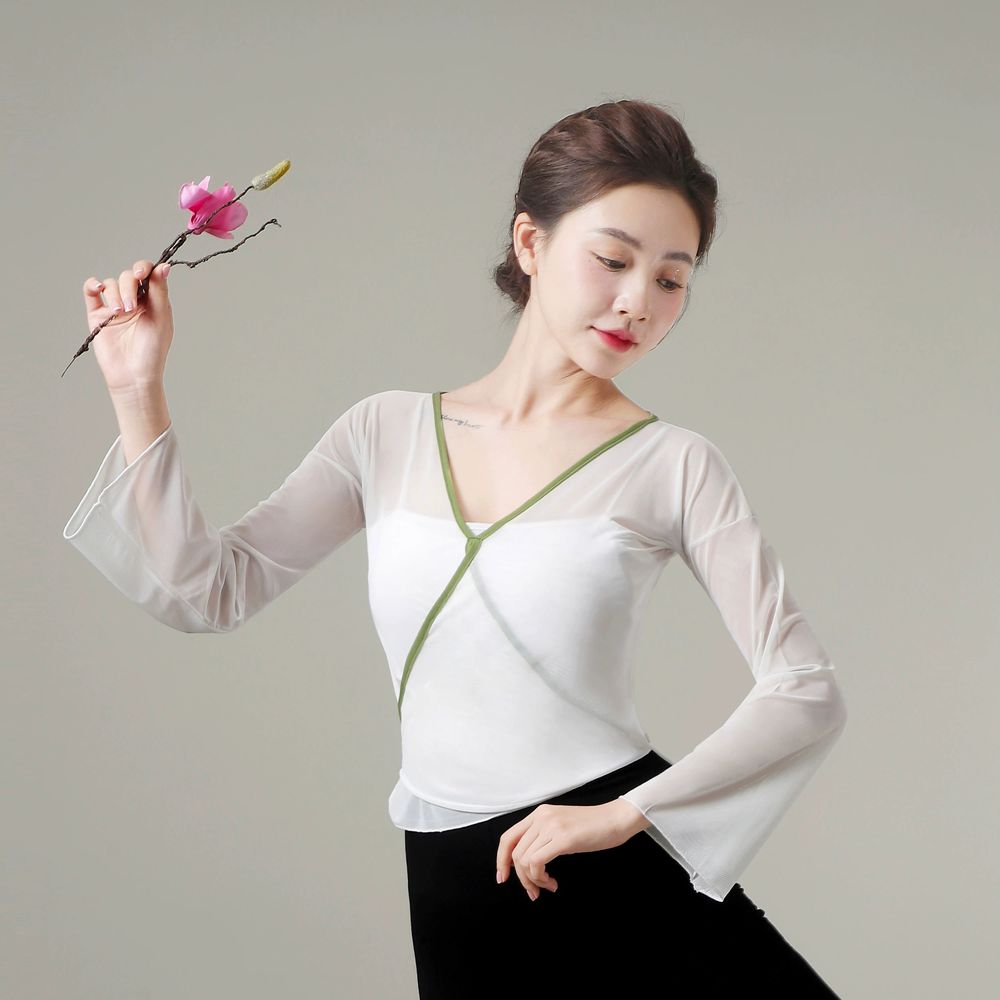 무용 상의 연습복 입시복 치파오 무대 입시 치마 시스루 - 상세 이미지 3
