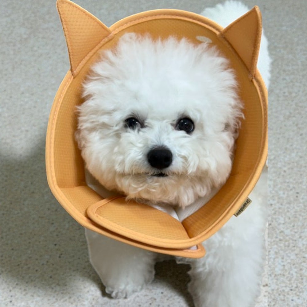 드림베이스 강아지 고양이 넥카라 경량 3D메쉬 수술 상처보호 발사탕 포근시바, M - 상세 이미지 2