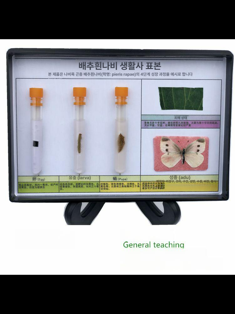양자 측정기 전자기파 테스터 자기장 검출기 퀀텀 분석기 근접동물 표본 - 상품 이미지