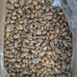 국내산 냉동 오만둥이 10kg 미더덕 오만디 대용량 업소용 맛있게 먹은 솔직 후기 - 상품 이미지 4