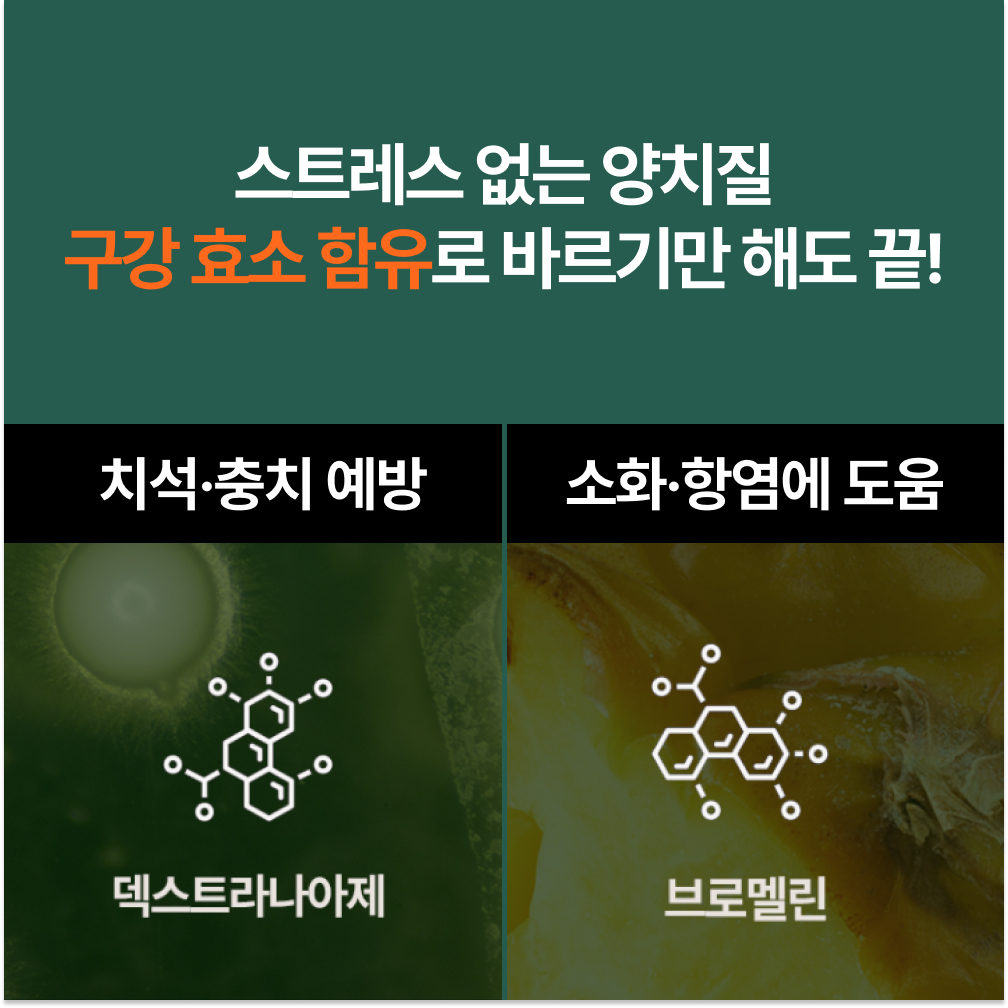 플라고 치약 강아지 고양이 입냄새 구취 치석 제거 바르는 치약 80g, 2개 이미지 3