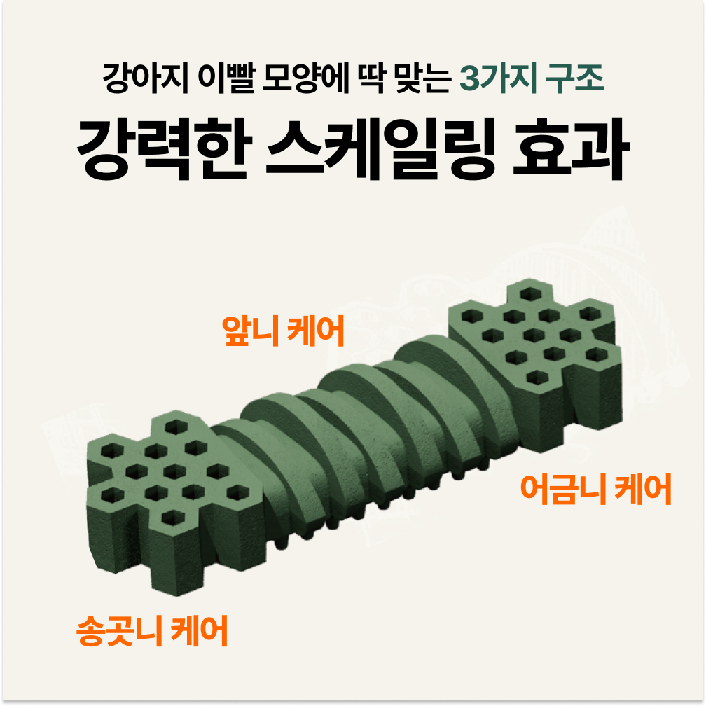 플라고 강아지 덴탈껌 양치껌 치석 제거 간식 3D 스케일링껌 7개입 1+1 이미지 4