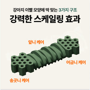 플라고 강아지 덴탈껌 양치껌 치석 제거 간식 3D 스케일링껌 7개입 1+... 솔직 후기 | 실제 사용자 리뷰 총정리 - 상품 이미지 4