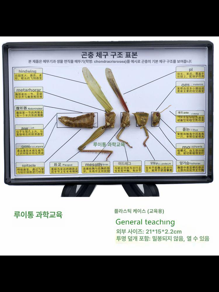 양자 측정기 전자기파 테스터 자기장 검출기 퀀텀 분석기 근접동물 표본 - 상세 이미지 5