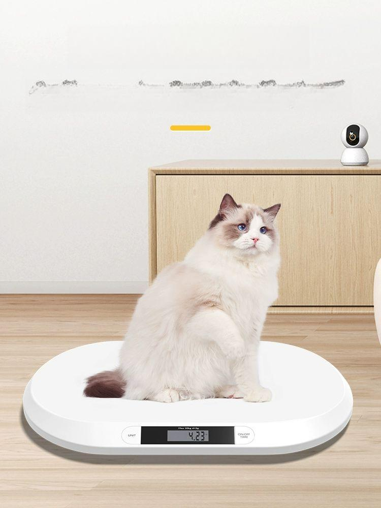 반려견 강아지 동물병원 저울 유선 전자저울 정밀 펫저울 20.0kg 1단계 화이트 - 상품 이미지