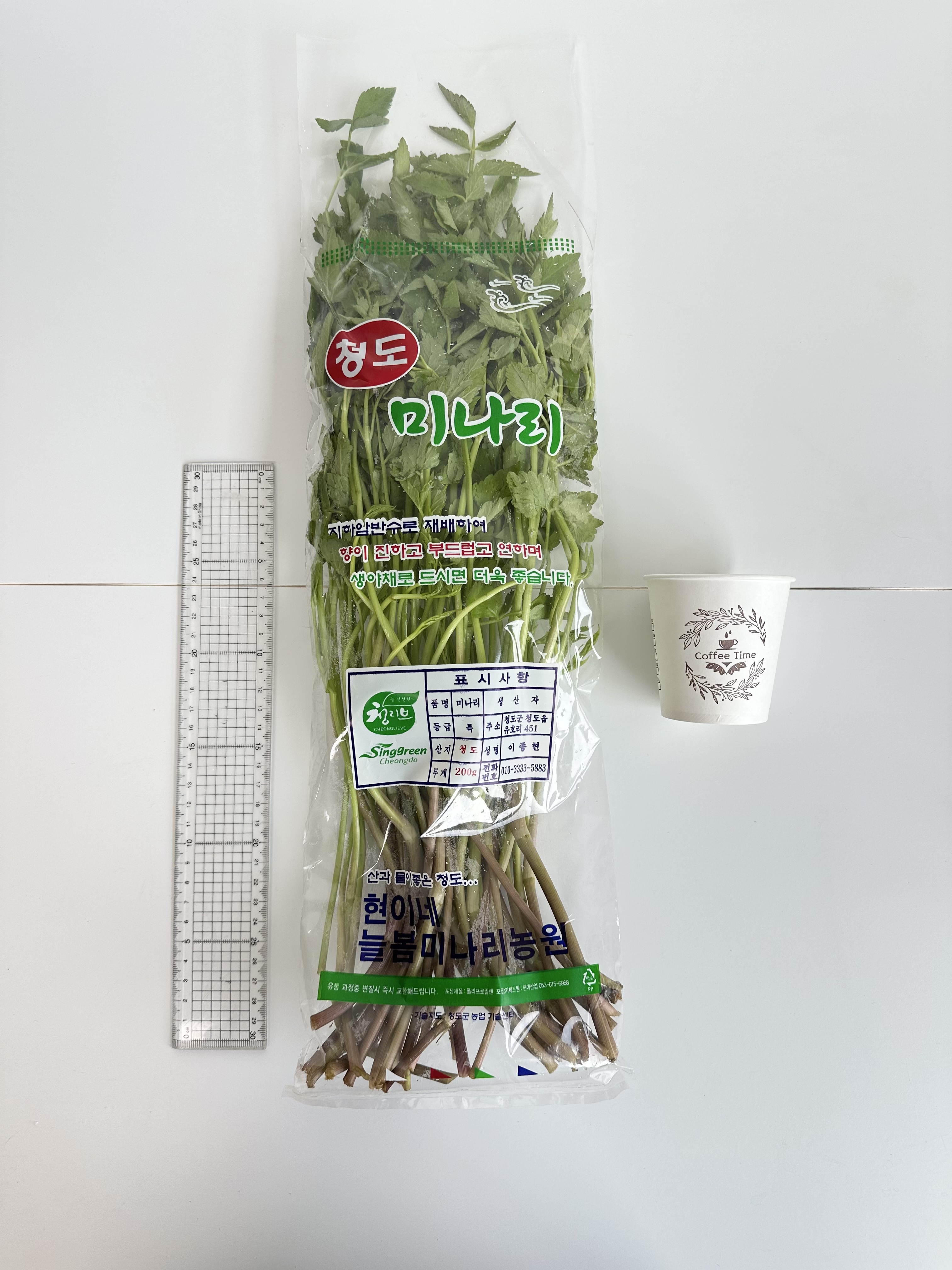 밭 미나리 청도 한재 생미나리 돌미나리 미나리 한단 이미지 6