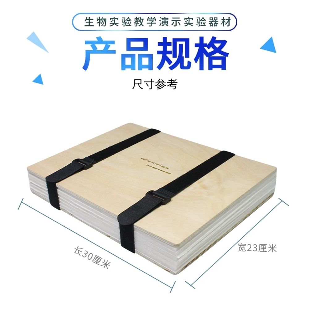 30cm 생화압착기 압화 상자식물 플라워 건조 DIY - 상세 이미지 5