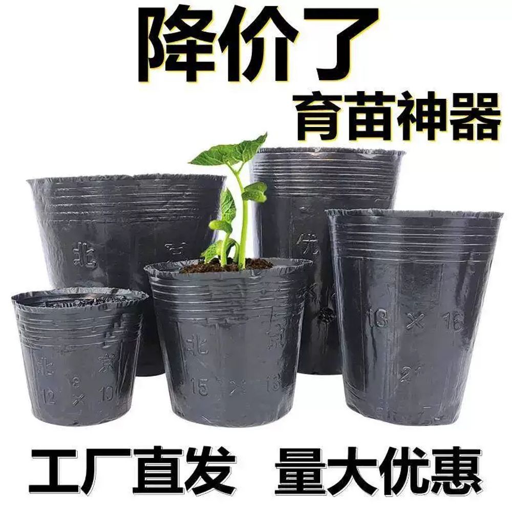 대형 비닐포트 소형 원예 묘목 육묘 비닐 비닐폿트 모종화분 - 상세 이미지 3
