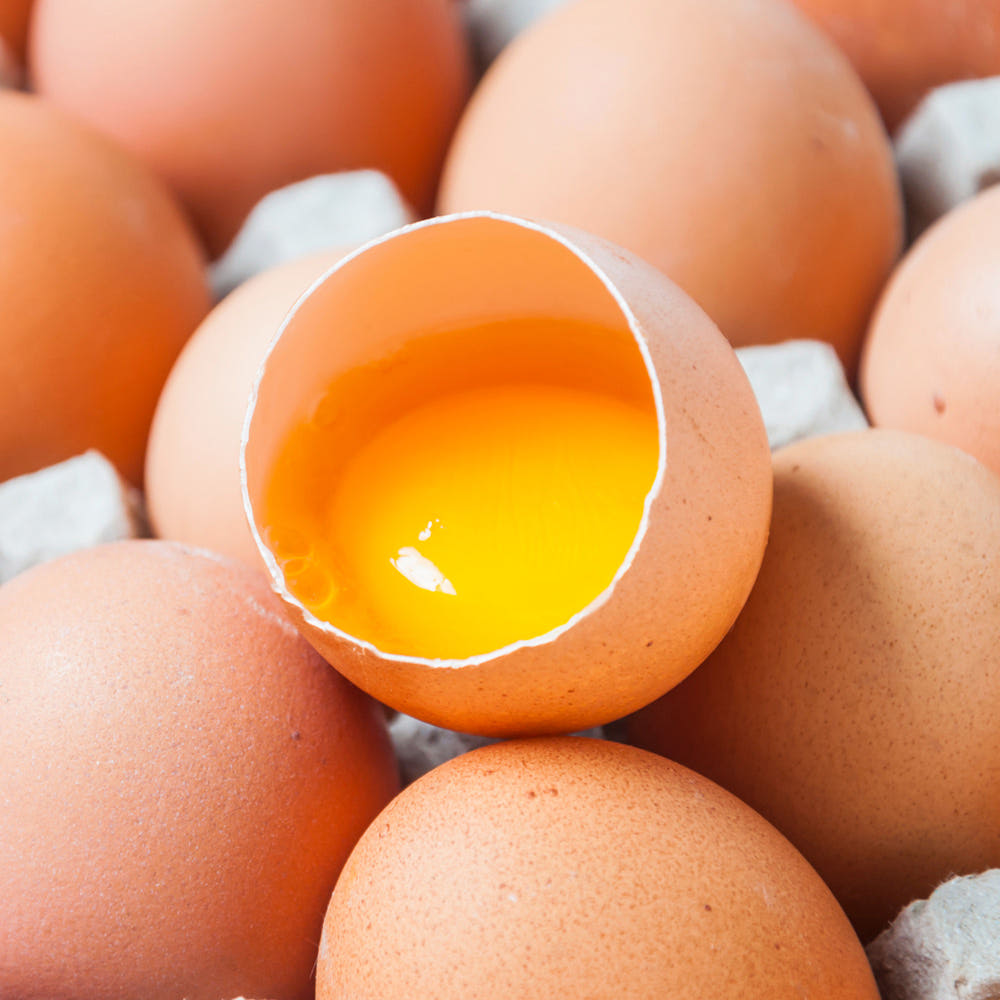 당일산란 무항생제 계란 특란