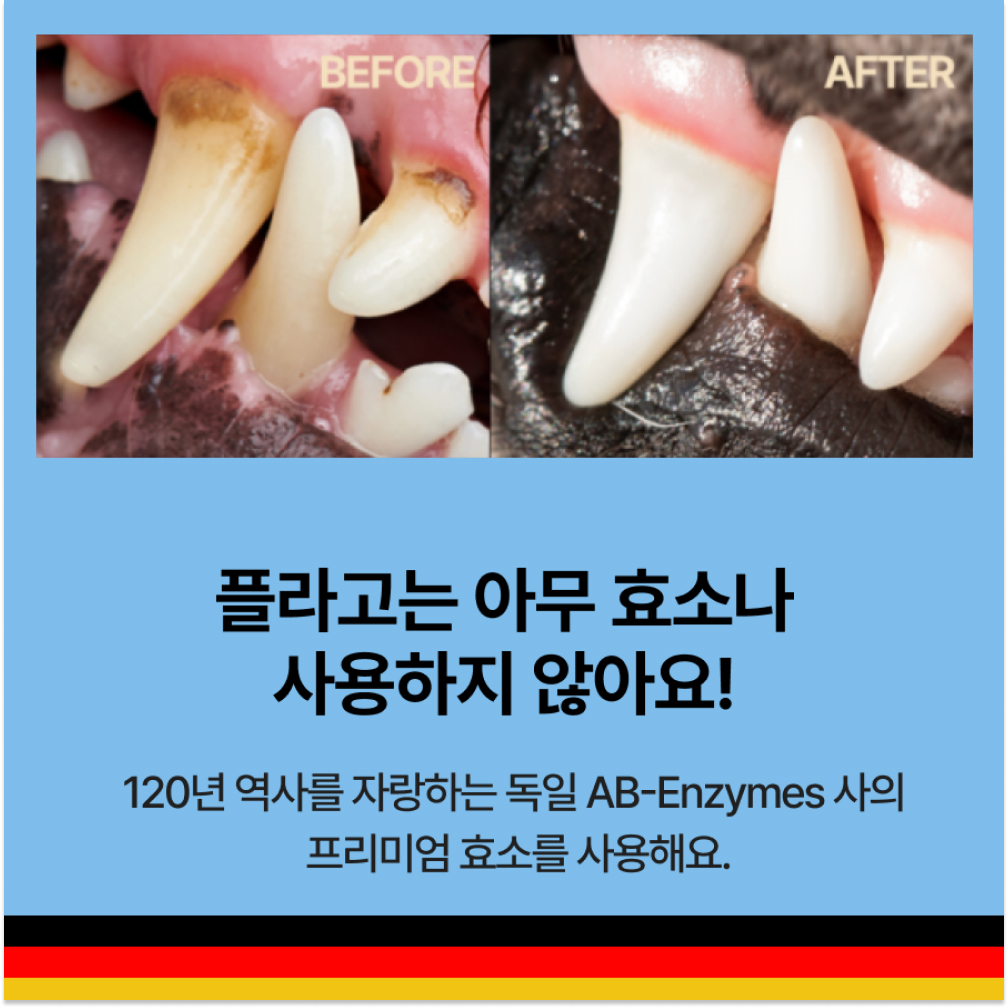 강아지 덴탈껌 3D 스케일링껌 양치껌 치석 제거 강아지 구강관리