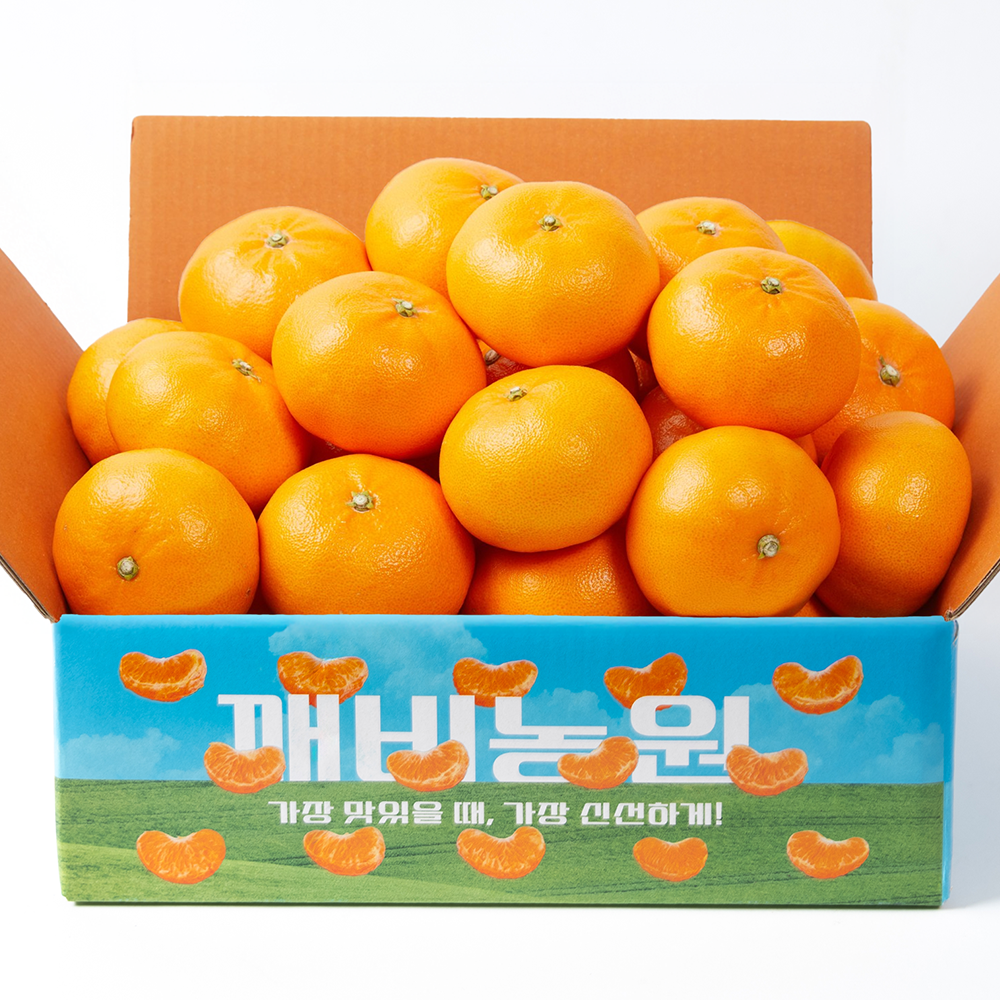 제주 천혜향 선물세트 2.5kg 4.5kg / 고급가방 포장