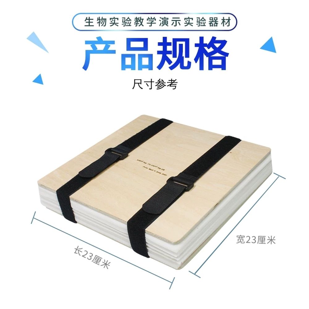 30cm 생화압착기 압화 상자식물 플라워 건조 DIY - 상세 이미지 4