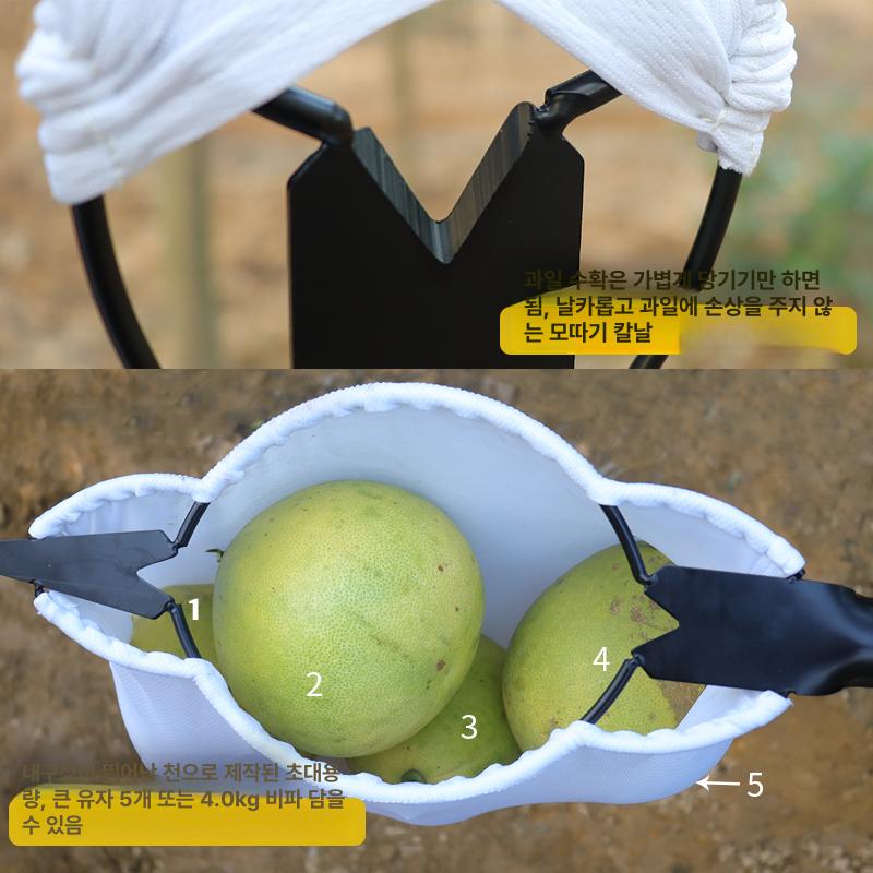 과일 따는 도구 과수용 수확기 집게형 피커 따개 열매 2m 골든 텔레스코픽 대형 자몽 - 상세 이미지 4
