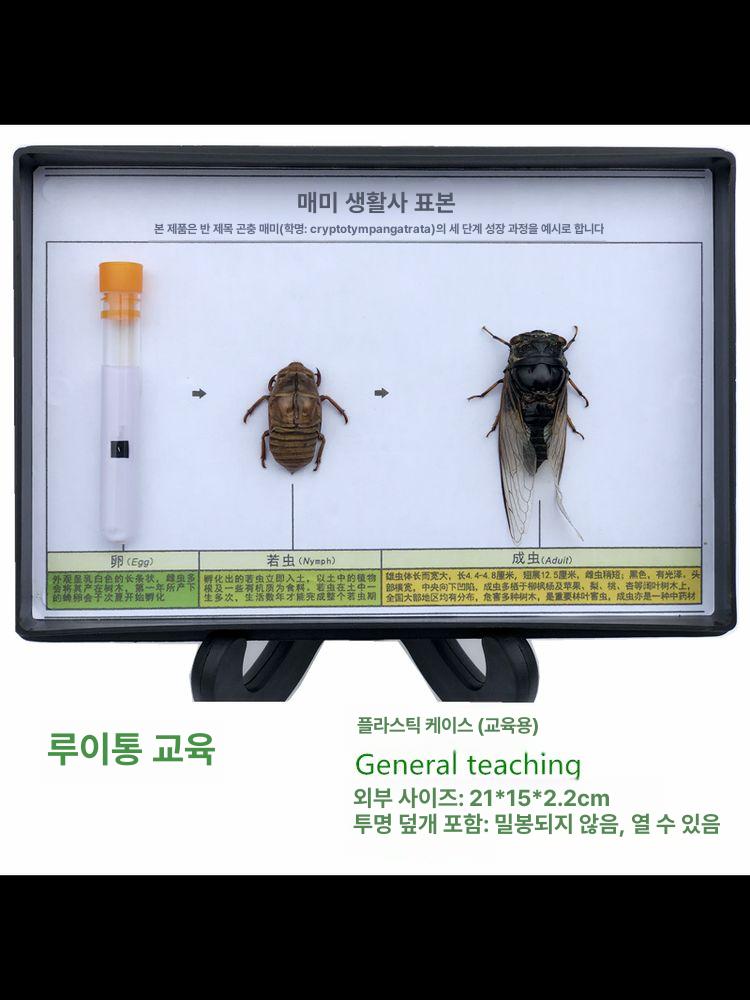양자 측정기 전자기파 테스터 자기장 검출기 퀀텀 분석기 근접동물 표본 - 상세 이미지 3