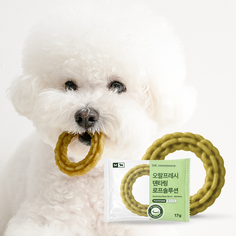 [3+1] 개껌 강아지껌 치석제거껌 강아지덴탈껌 양치 7개입 이미지 3