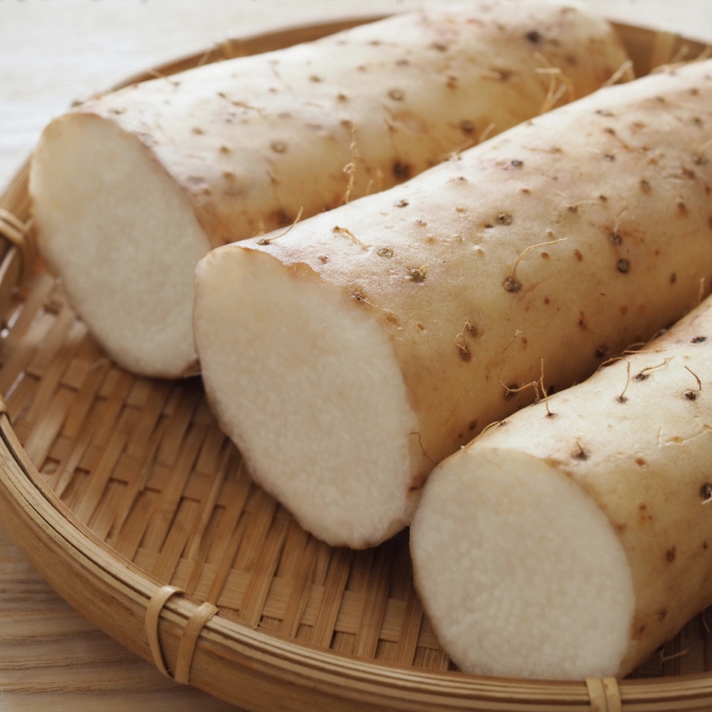 생마 둥근마 25년 햇마 안동마 먹는 장마 넝쿨 진액많은 - 상품 이미지