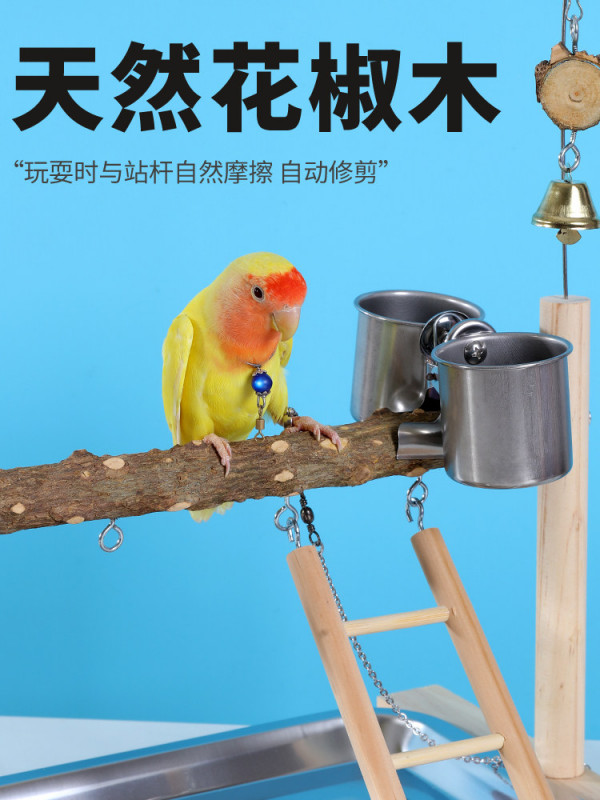 원목 앵무새 놀이터 나뭇가지 횟대 조류 새장 모란 노는 놀이공원 - 상세 이미지 5