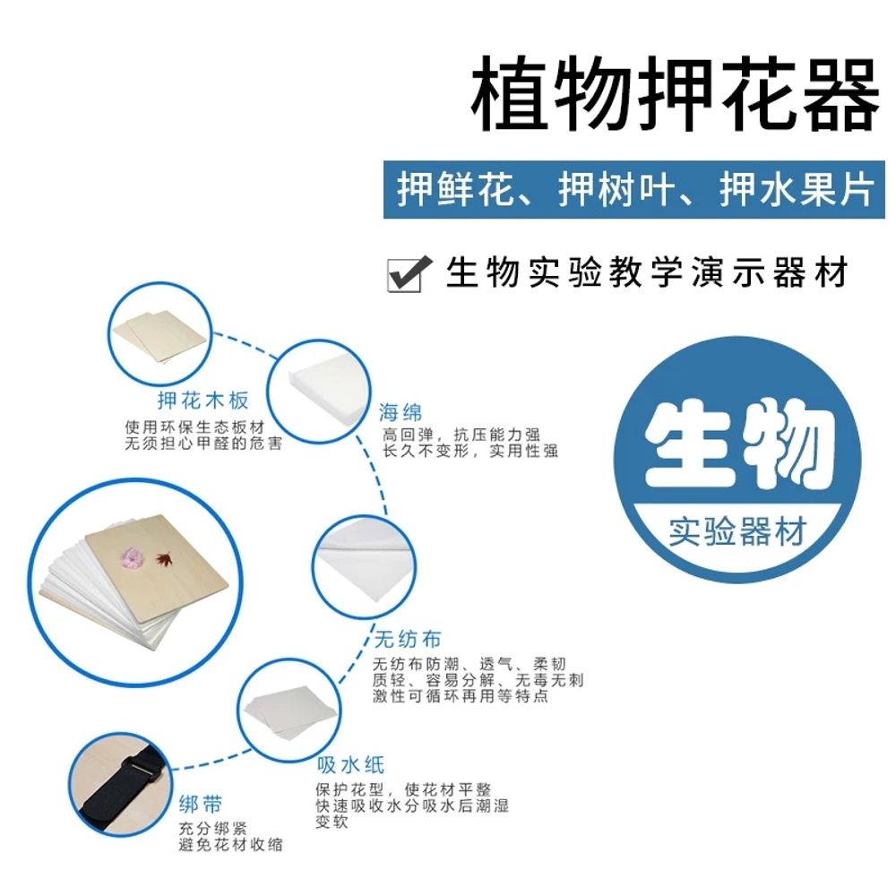 30cm 생화압착기 압화 상자식물 플라워 건조 DIY 이미지 6