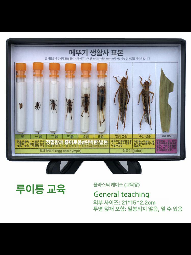 양자 측정기 전자기파 테스터 자기장 검출기 퀀텀 분석기 근접동물 표본 - 상세 이미지 2